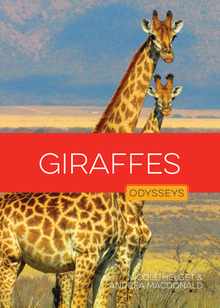 Giraffes