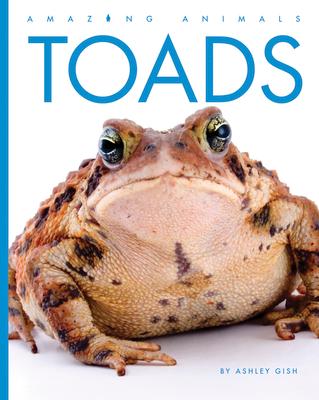 Toads Subscription