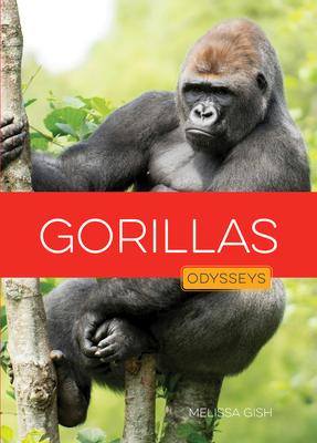 Gorillas Subscription