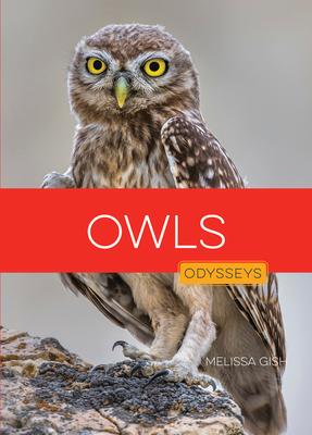 Owls Subscription