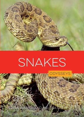 Snakes Subscription
