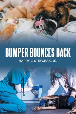 Bumper Bounces Back Subscription