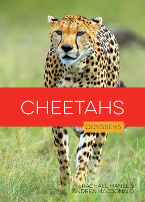 Cheetahs Subscription