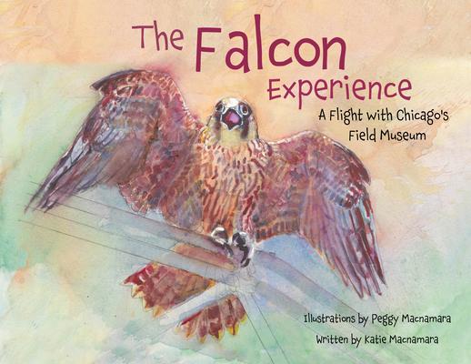 The Falcon Experience: A Flight with Chicago's Field Museum Subscription