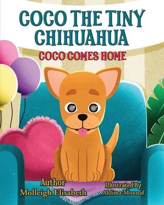 Coco The Tiny Chihuahua: Coco Comes Home