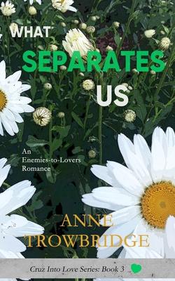 What Separates Us: An Enemies-to-Lovers Romance