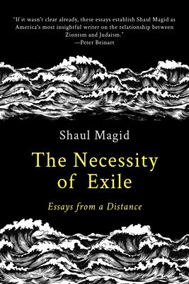 The Necessity of Exile: Essays from a Distance