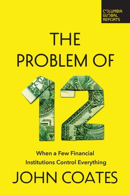 The Problem of Twelve: When a Few Financial Institutions Control Everything