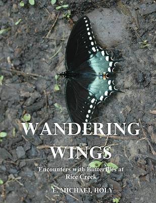 Wandering Wings: Encounters with Butterflies at Rice Creek