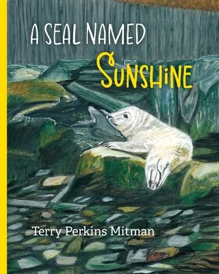 A Seal Named Sunshine: The Story of Sunshine and All the Rest Who Made a Big Splash One Winter in Maine