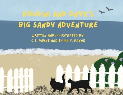 Houdini and Onyx's Big Sandy Adventure