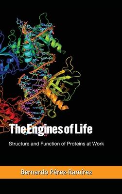 The Engines of Life: Structure and Function of Proteins at Work