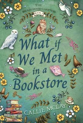 What If We Met In A Bookstore