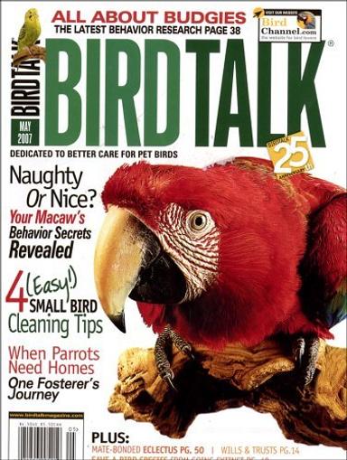 Bird Talk Magazine Subscription Discount DiscountMags com Bird Talk Magazine Subscription Discount DiscountMags com
