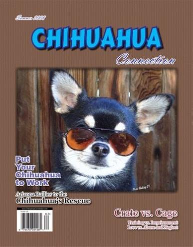 Chihuahua Connection
