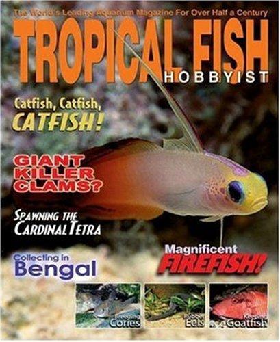 Discount discount tropical fish