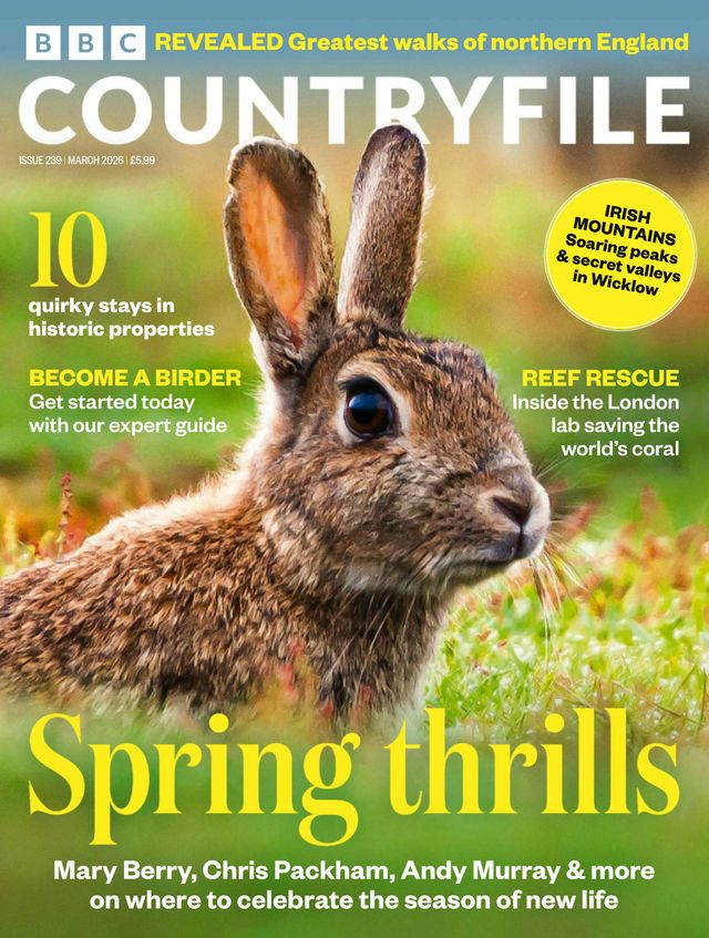 Bbc Countryfile Magazine Subscription