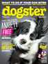 Dogster Magazine Subscription