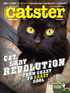 Catster Subscription