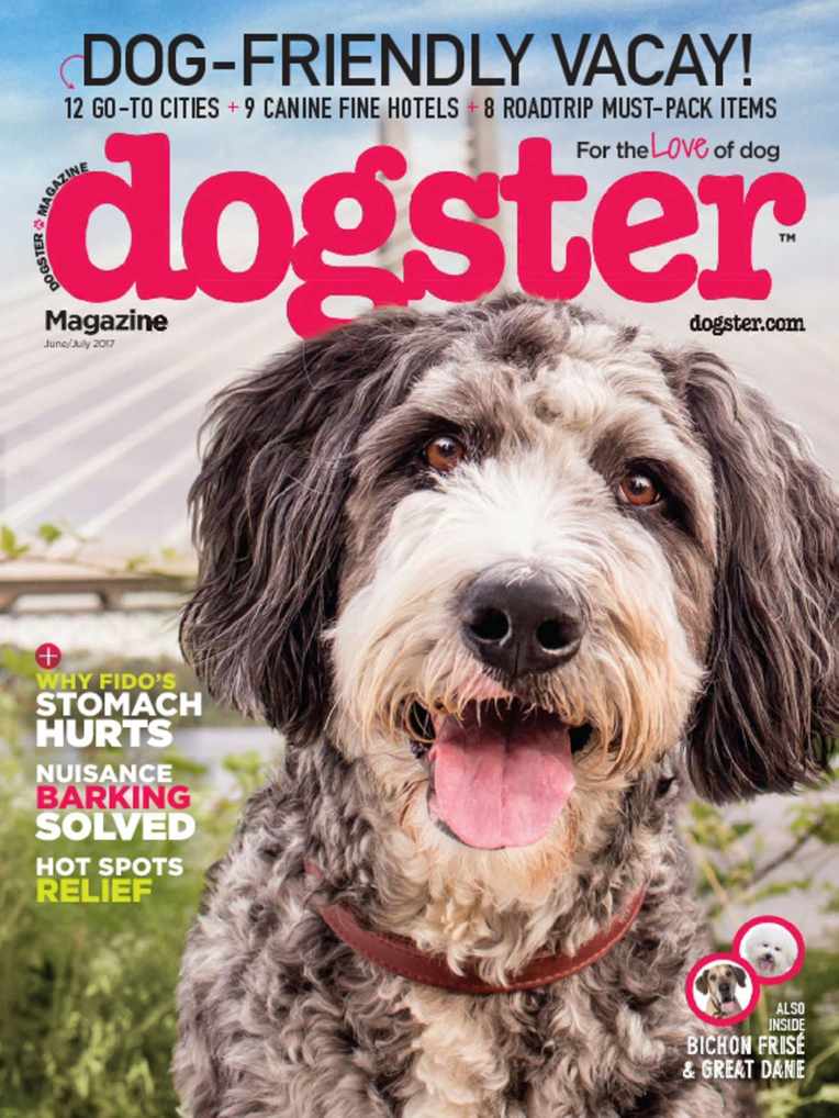 1-Year Dogster Magazine Subscription