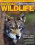 National Wildlife Subscription Deal