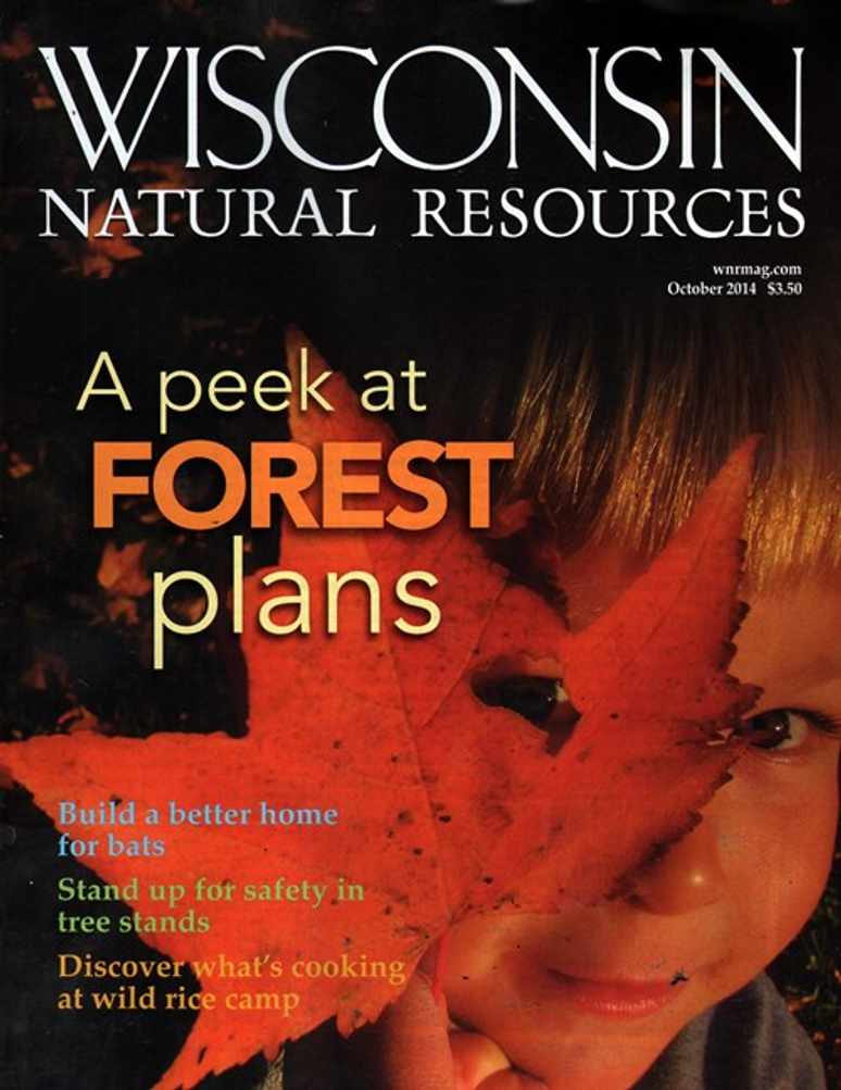 Wisconsin Natural Resources Magazine Subscription Discount Discountmags Com