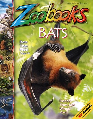 zoobooks magazine