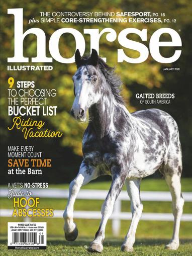 horse-illustrated-magazine-subscription-discount-everything-for-you