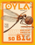 Oyla Junior Magazine