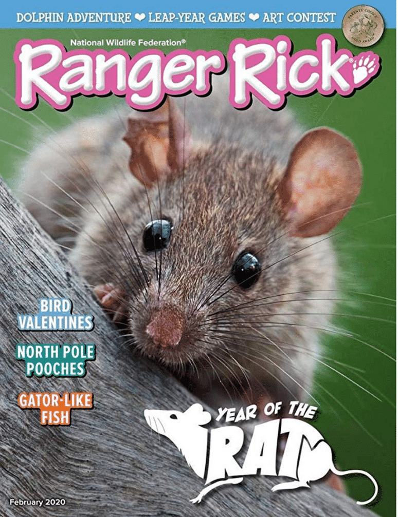 1-Year (10 issues) of Ranger Rick Magazine Subscription
